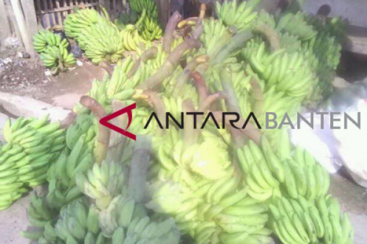 Permintaan Pisang Jelang Ramadhan Meningkat