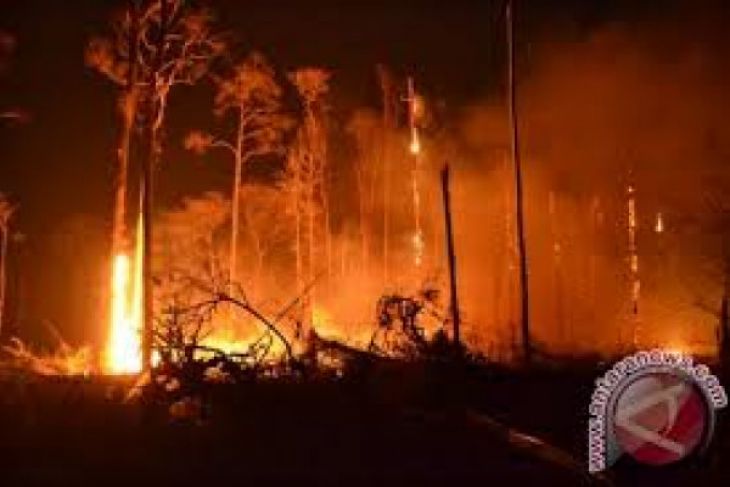 BPBD Lebak Keluarkan Peringatan Bahaya Kebakaran