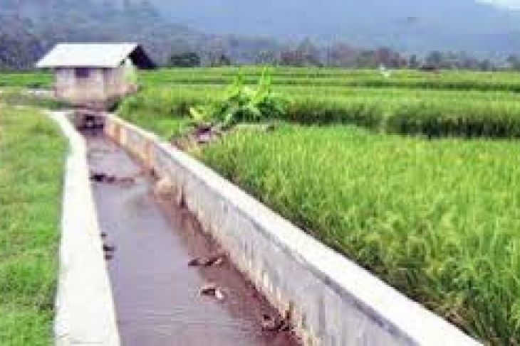 Pemkab Lebak Rehabilitasi 27 Jaringan Daerah Irigasi (DI) Dukung Swasembada Pangan