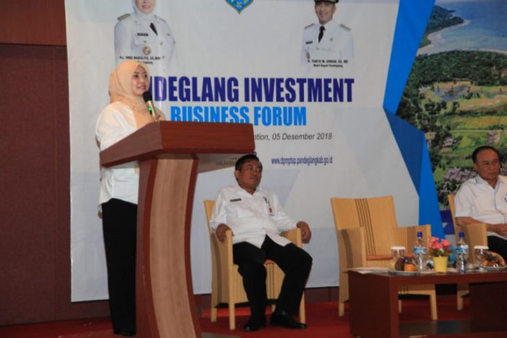 Bupati Irna Ajak Pengusaha Berinvestasi Di Pandeglang