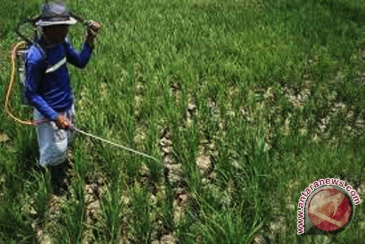 Mukomuko terima bantuan 45 unit penyemprot elektrik