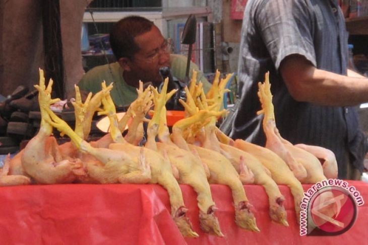 Warga Mukomuko keluhkan mahalnya harga ayam potong