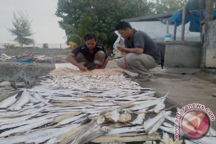 DKP Mukomuko tetapkan penerima sarana penjemur ikan