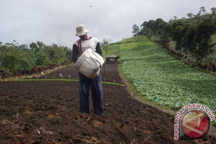 Petani Bengkulu Selatan jarang gunakan pupuk organik