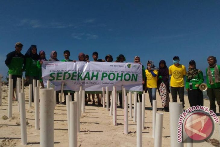 Habitat Mangrove Bengkulu Diusulkan Jadi Kawasan Lindung