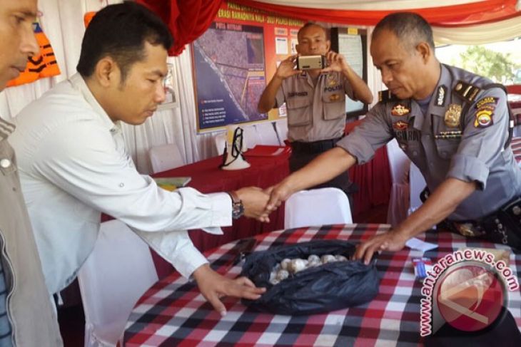 BKSDA Bengkulu amankan puluhan telur penyu belimbing