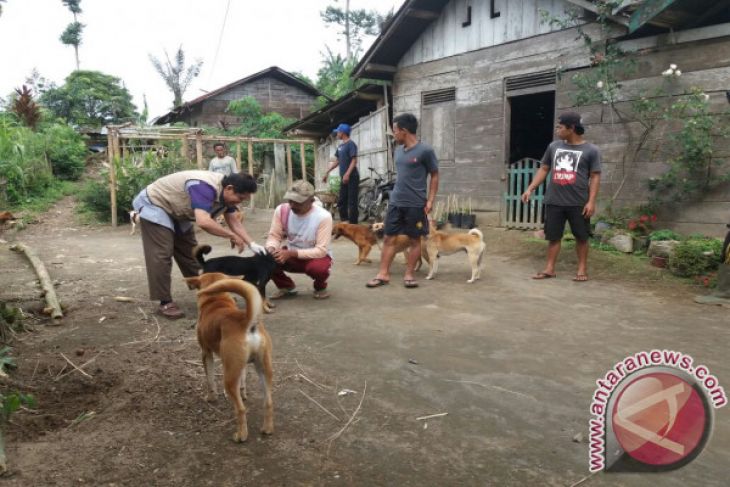 Distan usulkan penambahan dana eliminasi anjing liar
