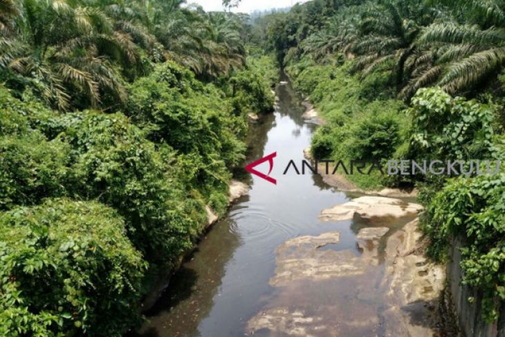 Walhi Bengkulu soroti pencemaran Sungai Mertam