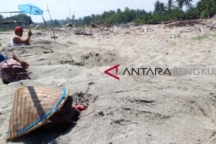 Ada terapi pasir di Pantai Pasar Bawah Bengkulu Selatan