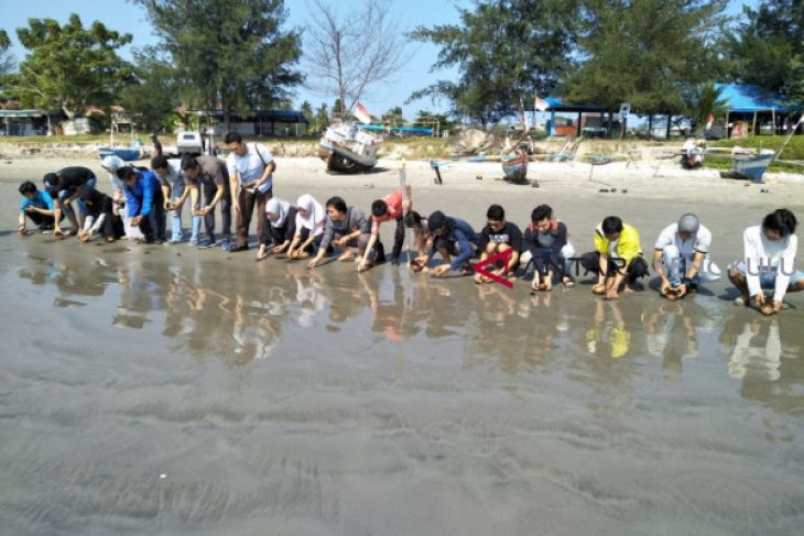 Tukik langka dilepas di pantai Tapak Paderi Bengkulu
