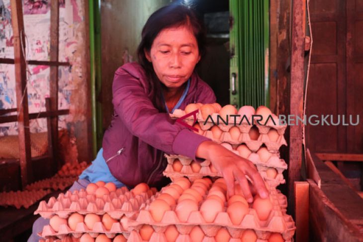 Harga telur di Rejang Lebong mulai turun