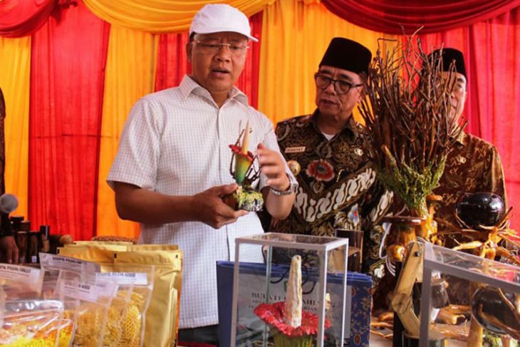 Bengkulu gelar