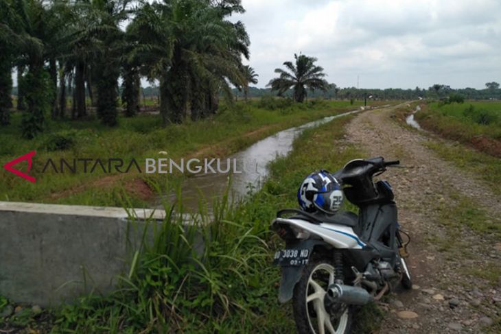 Sebagian sawah Mukomuko belum miliki saluran tersier