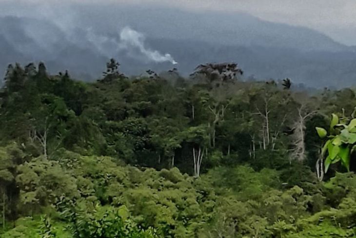 TNKS selidiki dugaan kasus pembalakan dalam kawasan