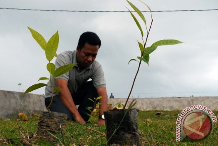 Pemkab Bekasi lakukan penanaman sejuta pohon