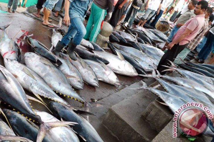 Karawang akan perbaiki seluruh tempat pelelangan ikan
