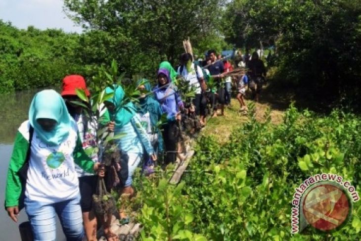 Jabar intensifkan pengembangan wisata mangrove tiga daerah