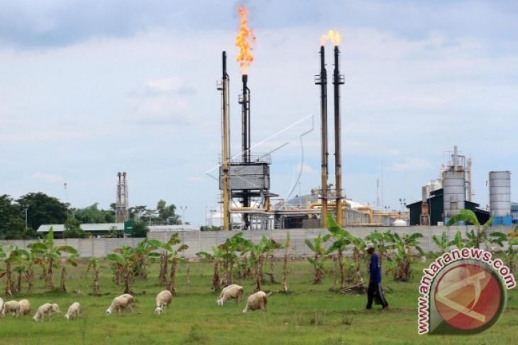 Produksi Amerika Serikat Jatuh, Harga Minyak Naik