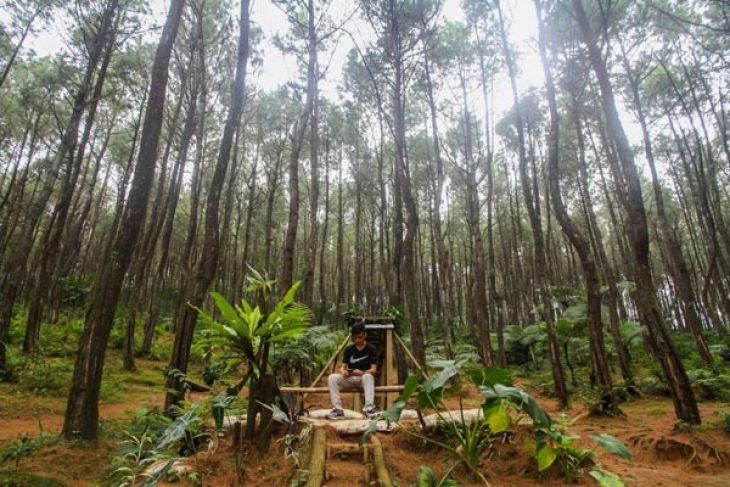 Purwakarta kembangkan sektor pariwisata terintegrasi