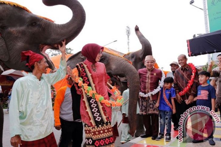 Parade Gajah Di Festival Way Kambas Lampung