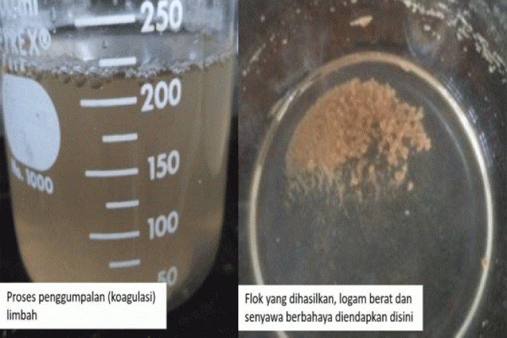 IPB Gunakan Biji Asam Jawa Untuk Mengolah Limbah Cair Tambang Emas