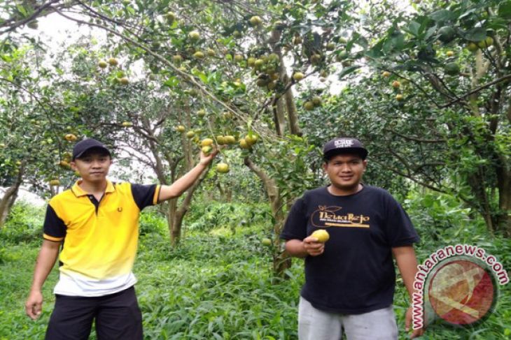 Mengolaborasikan Agribisnis-wisata