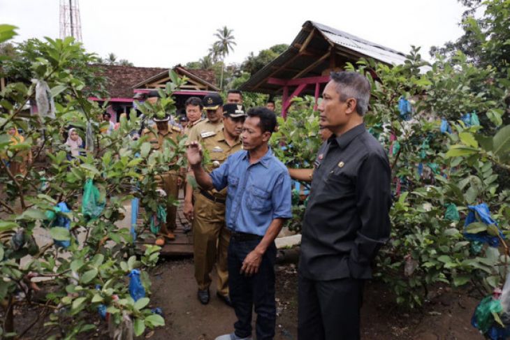 Pjs. Gubernur Lampung Mengunjungi Desa Agrowisata Sumberejo Tanggamus