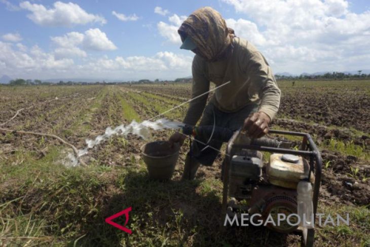 Bahaya kekeringan mengancam Timur Tengah dan Arika Utara