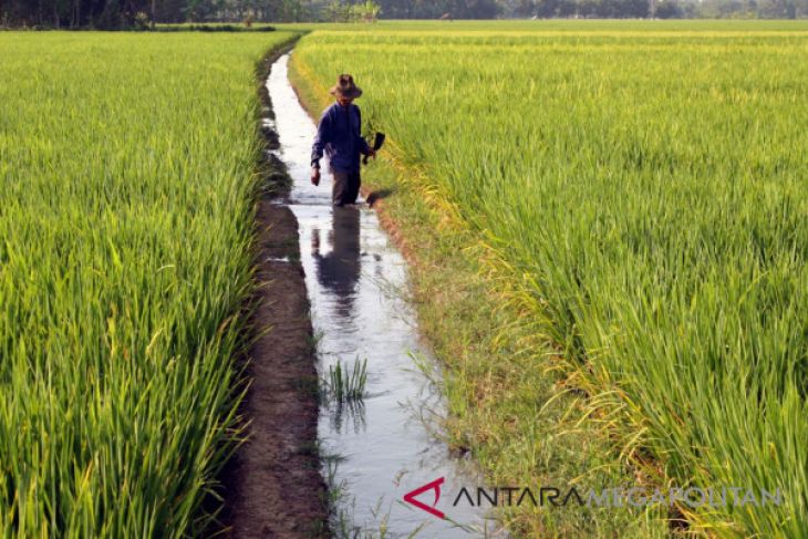 Puluhan ribu petani Purwakarta dimasukan peserta BPJS-TK