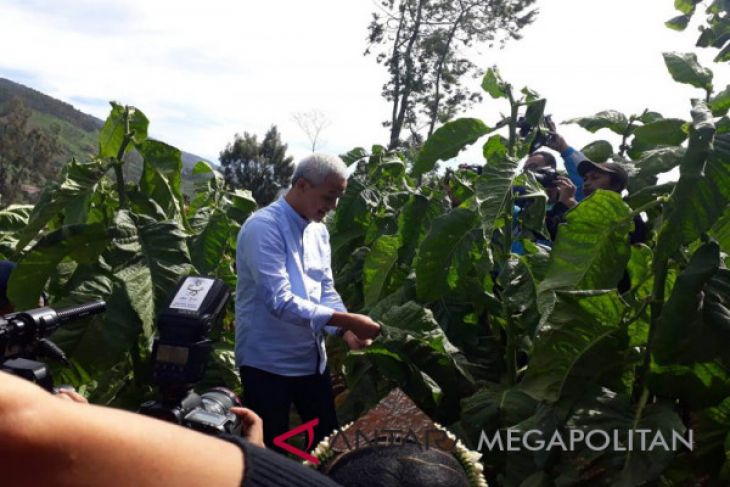 Ganjar: Saya selalu membela petani tembakau