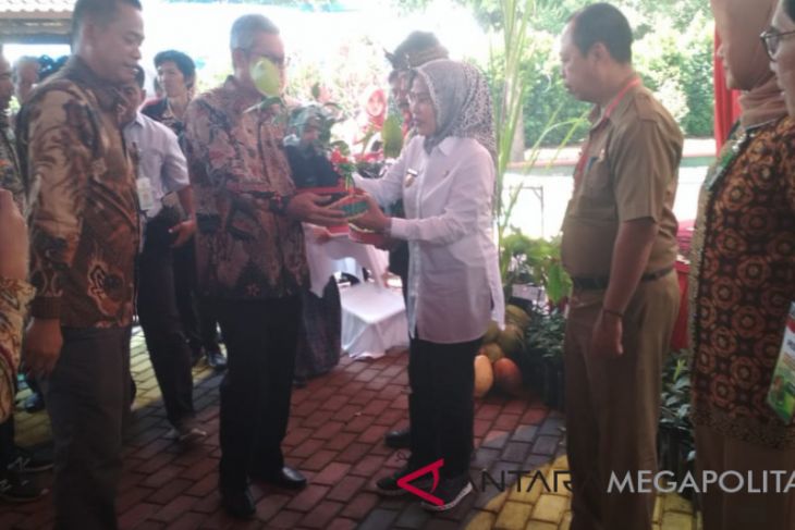 Kementan distribusikan 10 juta benih perkebunan gratis