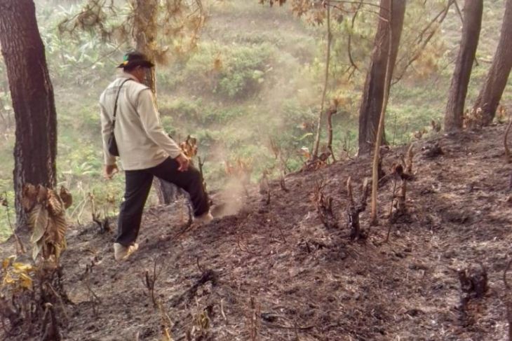 Penyebab kebakaran Gunung Suta Sukabumi diselidiki
