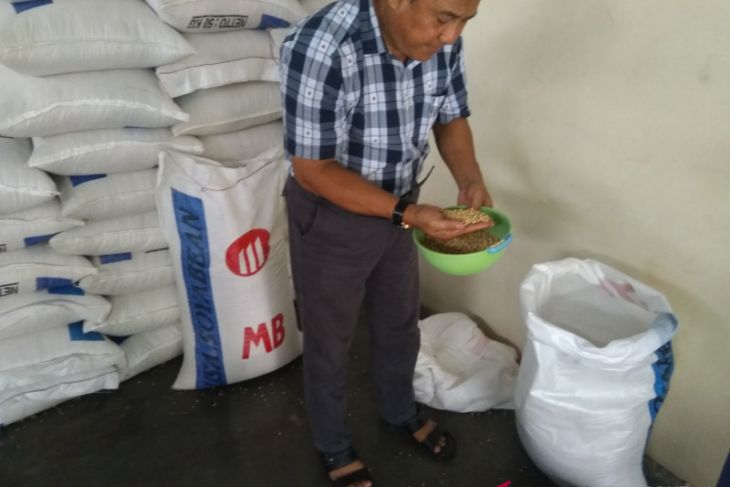 KOPTI : Harga kedelai masih stabil