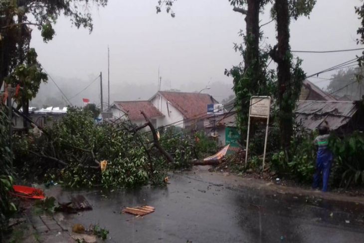 Angin kencang landa Kota Bogor