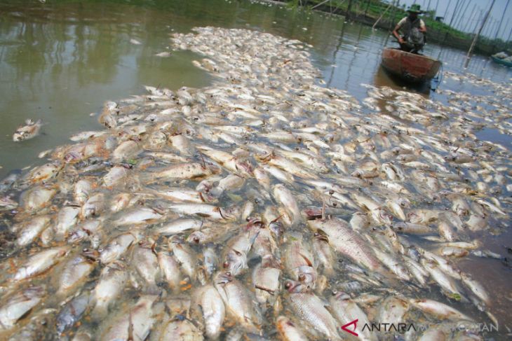 Petugas DLH Bekasi identifikasi pencemaran sungai Kalor