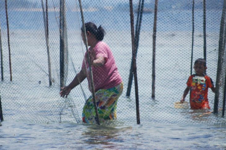 DPRD Optimistis Pengelolaan Sumber Daya Perikanan Optimal