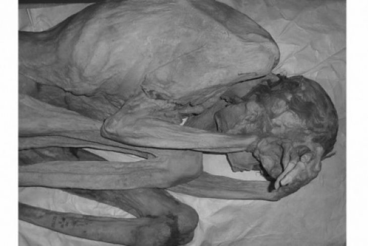 Peneliti Temukan Tato Figuratif Tertua di Dunia