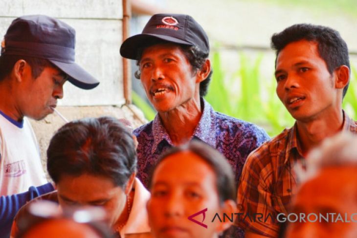 Petani Gorut Harap Pemerintah Tingkatkan Bantuan Pupuk