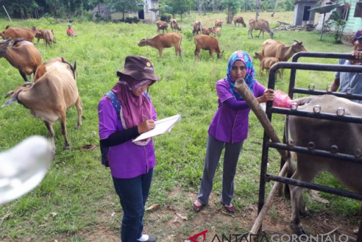 Disnakkeswan Pantau Pasar Hewan Jelang Idul Adha