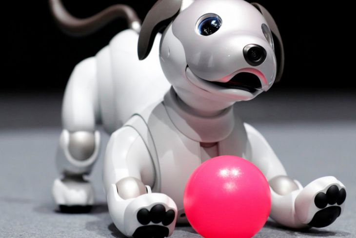 Robot Anjing Aibo Punya Memori Kenali 100 Wajah Manusia