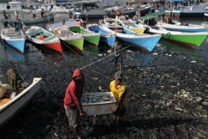 Ekspor Hasil Perikanan Gorontalo Capai 40 Ton