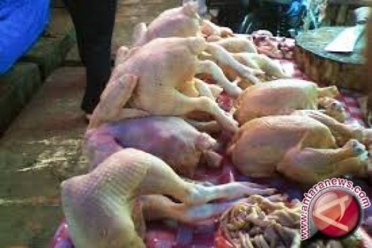 Harga Daging Ayam Naik Jelang Natal