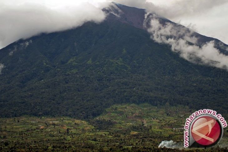 Mahasiswa peneliti dari Kehutanan Unja kecelakaan di Gunung Kerinci
