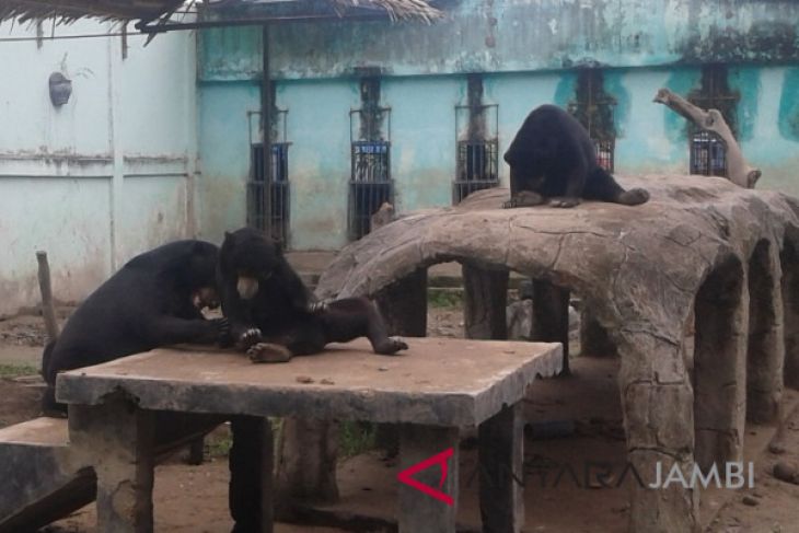 Libur lebaran pengunjung Taman Rimbo 86.233 orang