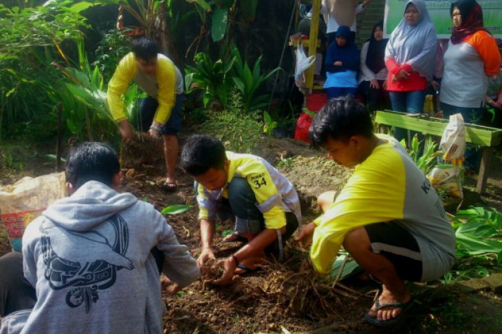 Mahasiswa Kukerta Unja benahi kebun Toga (video)