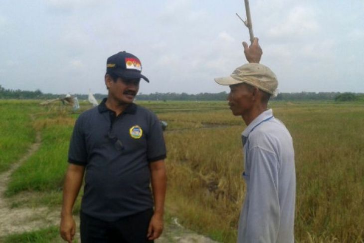 BPP Jambi kunjungi kelompok usaha mandiri Tanjabtim