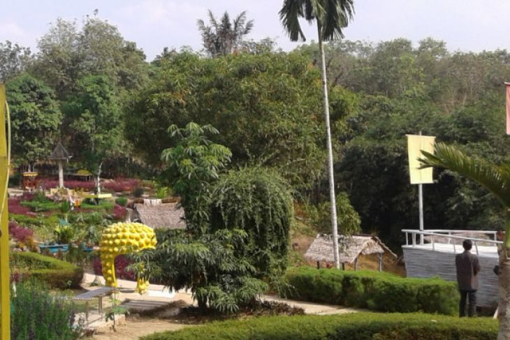 Taman Talang Bukit Berbunga wisata alternatif di Batanghari