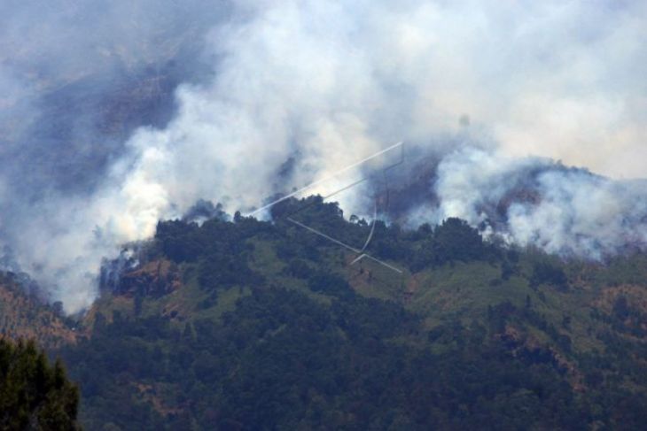 Polisi selidiki kebakaran Gunung Suta Sukabumi