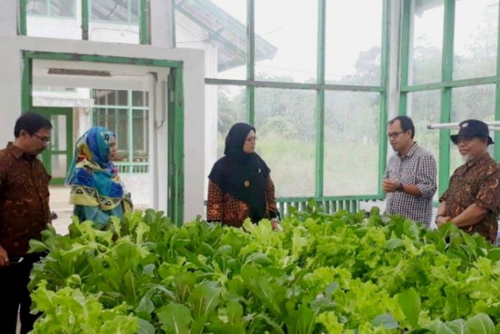 Peneliti Unja kembangkan pertanian cerdas berbasis internet