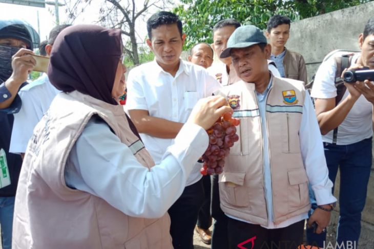 Satgas pangan Jambi cek penjualan anggur merah impor